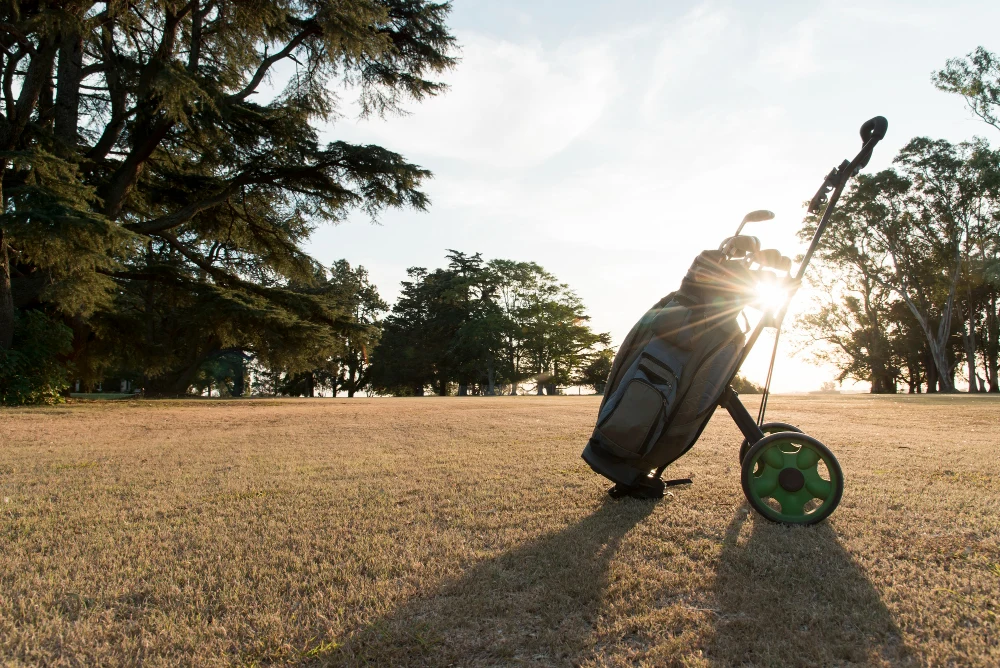 A golf bag sits on a push cart in a grassy field during a golden sunset.